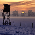 Winterlandschaft mit Sonnenuntergang und Hochsitz, Gemeinde Laakirchen, Salzkammergut, Bundesland OberÃ¶sterreich, Ã–sterreich - winterlandscape with sundown and hide, community of laakirchen, region salzkammergut, province upperaustria, austria