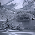 Winterlandschaft am Almsee, Gemeinde GrÃ¼nau, Salzkammergut, Bundesland OberÃ¶sterreich, Ã–sterreich - winterlandscape at lake almsee, community of grÃ¼nau, region salzkammergut, province upperaustria, austria
