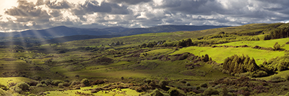 Landschaft in der Grafschaft Cork, Irland - landscape in Cork shire, ireland