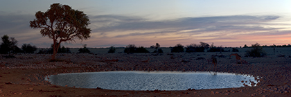 Wasserloch in Namutoni, Etosha Nationalpark, Namibia - waterhole in namutoni, etosha nationalpark, namibiaWasserloch in Namutoni, Etosha Nationalpark, Namibia - waterhole in namutoni, etosha nationalpark, namibia