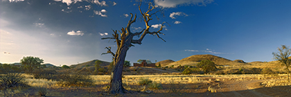SchloÃŸ Duwisib in der Steppenlandschaft, Namibia - castle of duwisib in the veld landscape, namibia