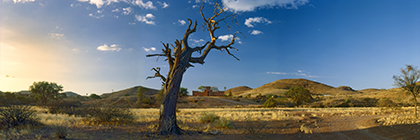 SchloÃŸ Duwisib in der Steppenlandschaft, Namibia - castle of duwisib in the veld landscape, namibia