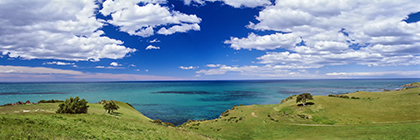 PazifikkÃ¼ste bei Moeraki, Neuseeland, Pazifikcoast near Moeraki, New Zealand